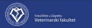 VEF_logo